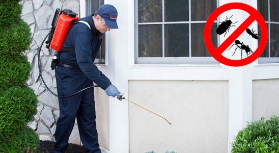 Gemerek Kemirgen İlaçlama böcek ilaçlama ve haşere kontrolü — ilaclama-tr.com